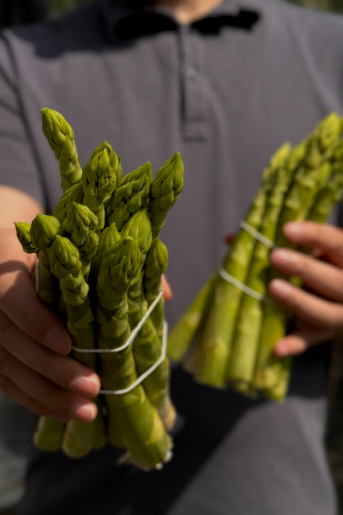 Tischlein deck Dich Berlin Restaurant Seasonal 1 Restaurant