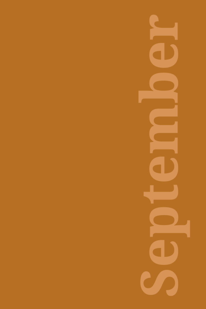 Tischlein deck Dich Berlin Restaurant Seasonal 6 Restaurant