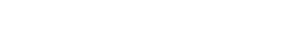 SbG Logo White HOR png